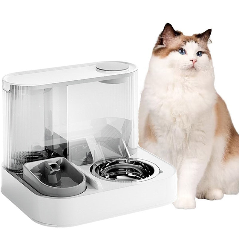 2-in-1 Automatic Cat Feeder & Water Dispenser
