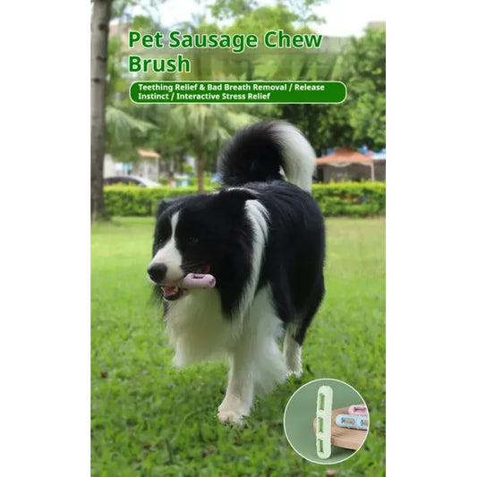 Sausage Chew Toothbrush for Dogs